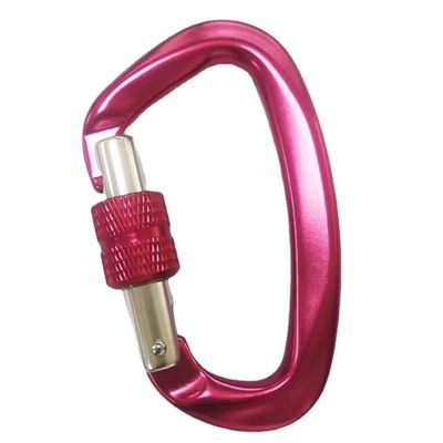 Harga yang bagus Galvanized Hardware Aerospace Aluminum D-Shaped Carabiner Essential Gear for Climbing on line