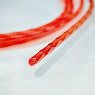 Harga yang bagus Garis Pemangkas Nilon Pentagon Twist 2.6MM 0.102'' 10M Kemasan Blister  Garis Pemotong Sikat on line