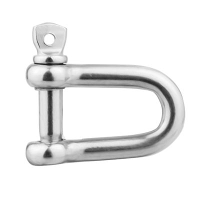 Harga yang bagus General Industry Stainless Steel Chain Lifting D Shackle 304L 316L Rigging Hardware on line
